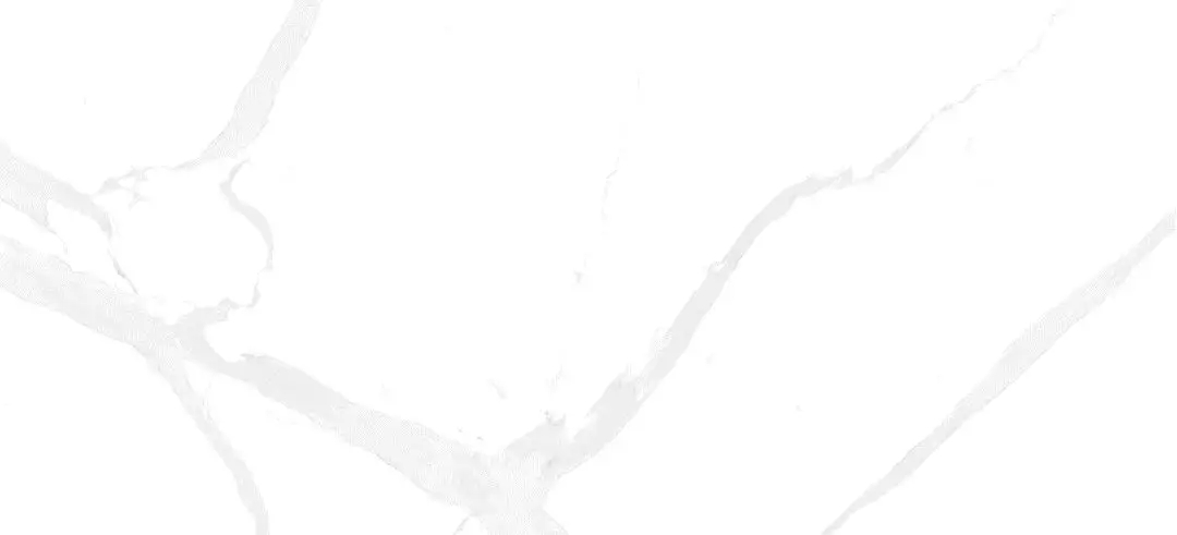 6-TG20L90A002 希臘伯爵白圖片 6-TG20L90A002 希臘伯爵白圖片